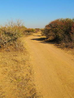 Road to the work site