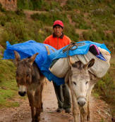 Our luggage carrier from the Eco Lodge