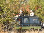 The jeeps were surprisingly unobtrusive to the wildlife