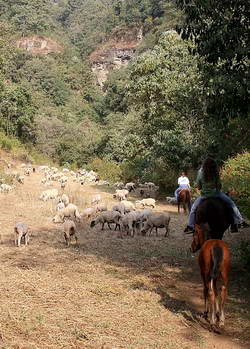 Team members visited the farm of a partner family on Sunday afternoon