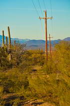 Gilbert Ray Campground Trail